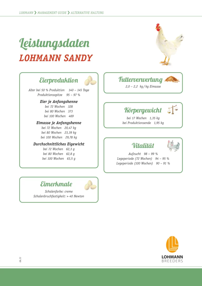 Abbildung: Titel "Leistungsdaten Lohmann Sandy" (Copyright: Lohmann Breeders)